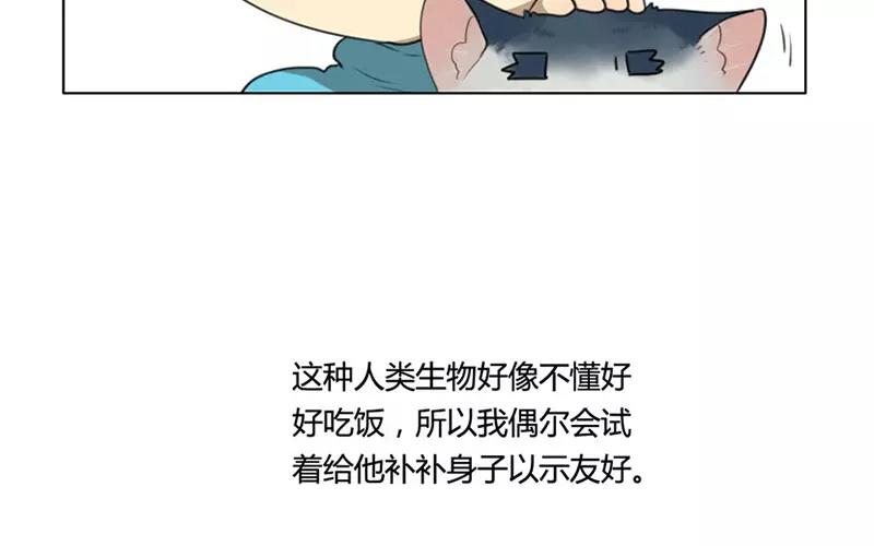 第19话  纯洁的灵魂（中）(1/2)-第17话