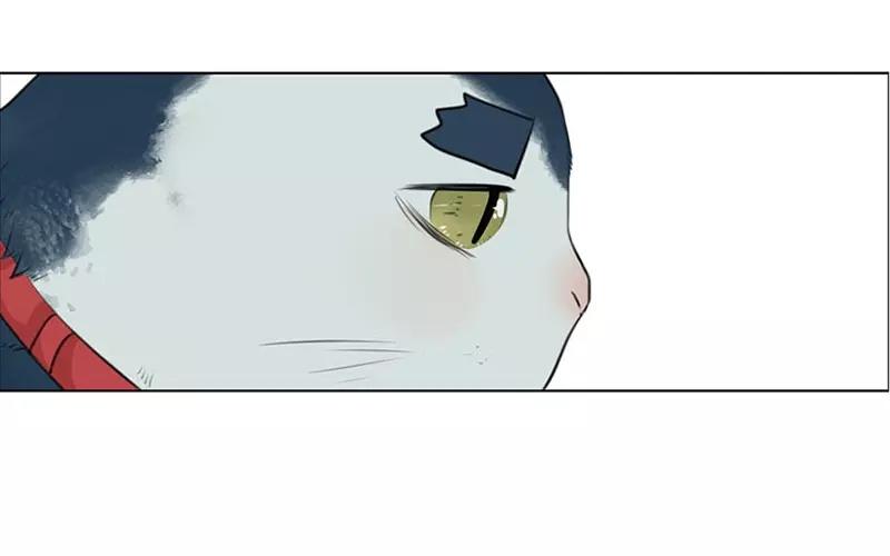 第19话  纯洁的灵魂（中）(1/2)-第17话