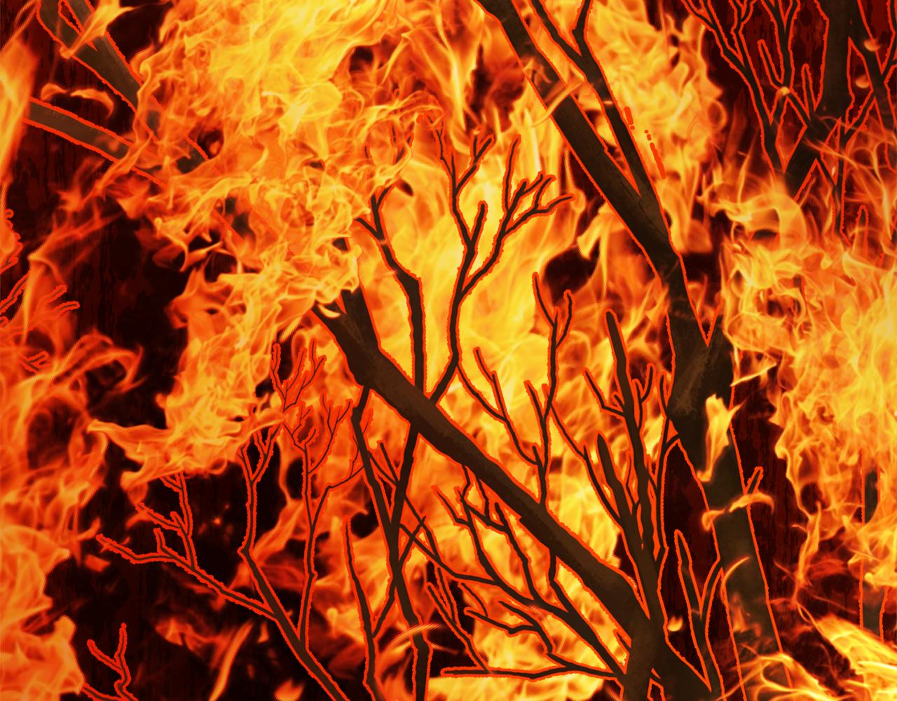 人間清醒小姐妹 - 第53話 拯救洛洛(2/5) - 6