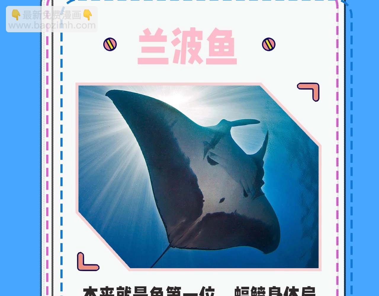 人魚陷落 - 第52期 人魚陷落的主角都是什麼品種的魚（日更中） - 6