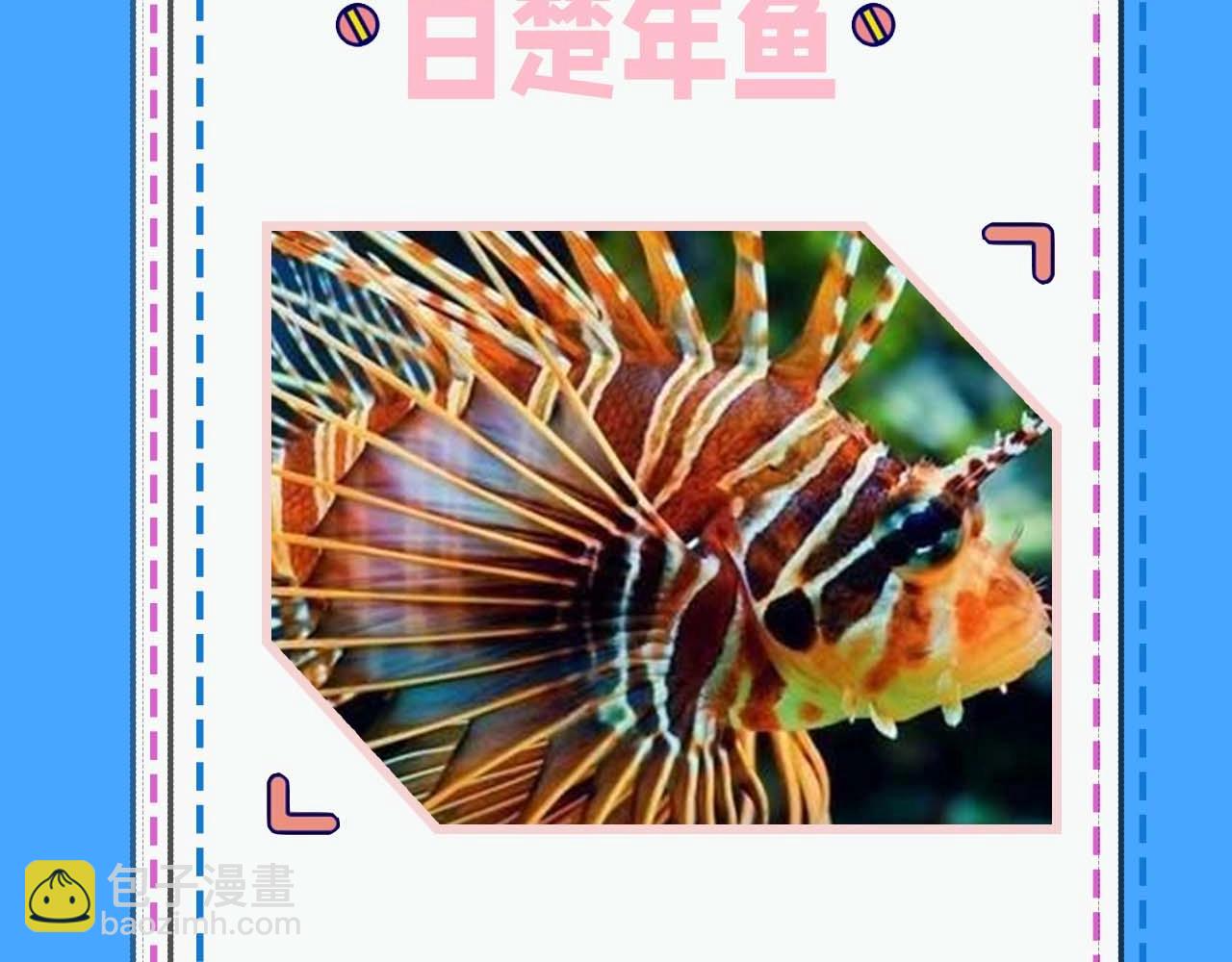 人魚陷落 - 第52期 人魚陷落的主角都是什麼品種的魚（日更中） - 2