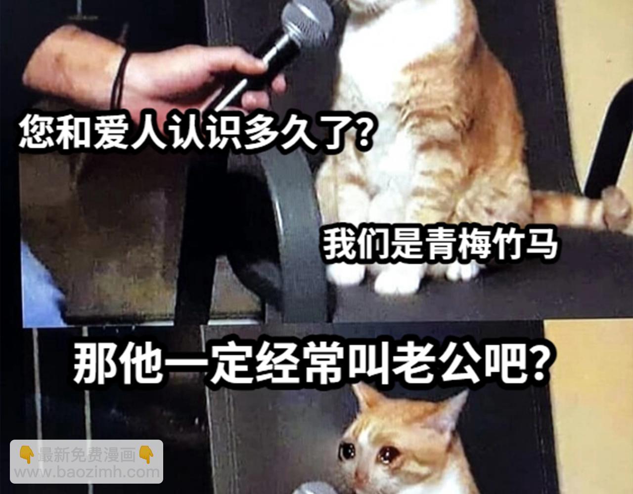 第37期 人鱼主角们开启5G冲浪，烂梗合集（日更中）-第107话