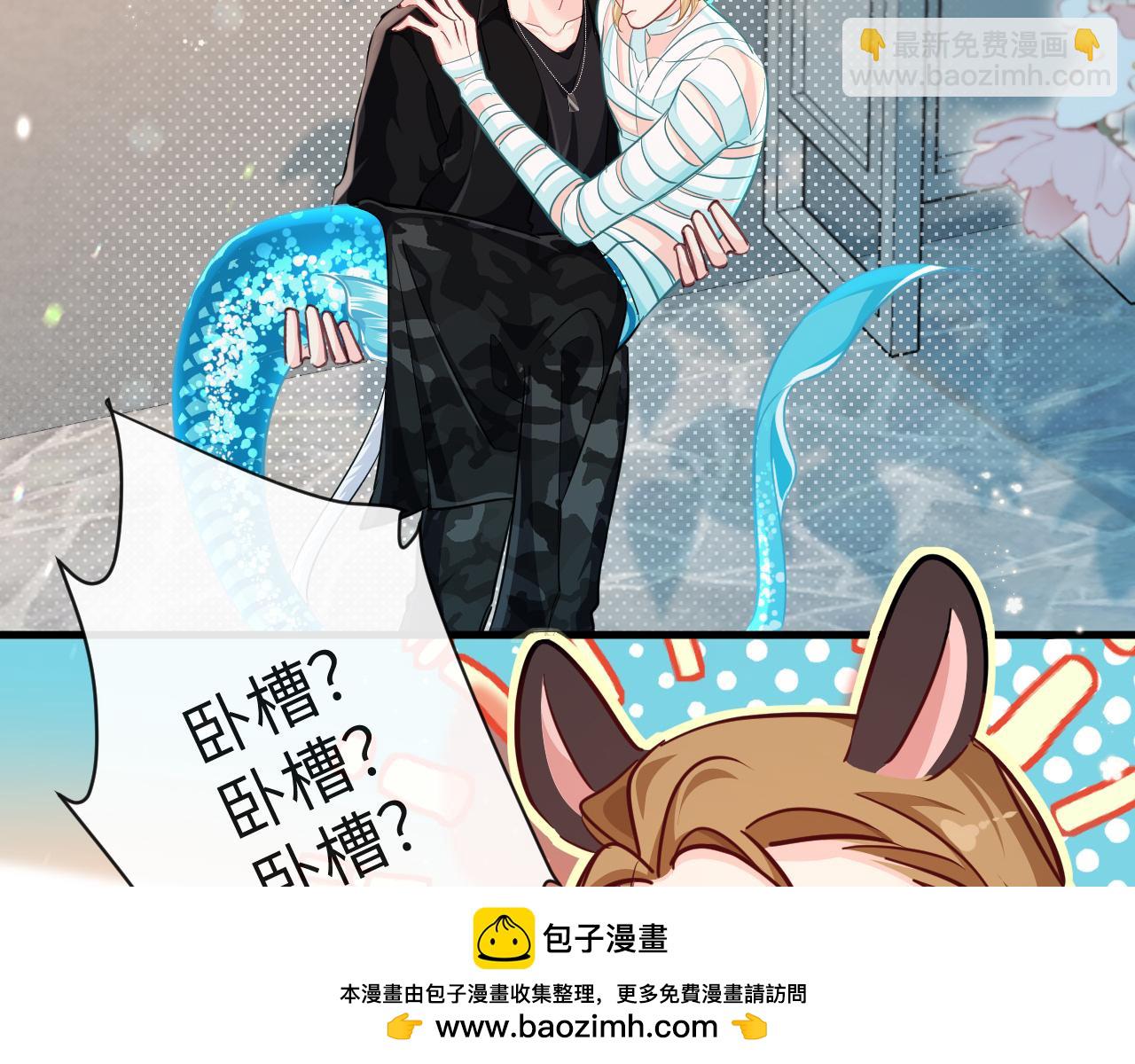 第79话 白狮之吻(1/3)-第117话