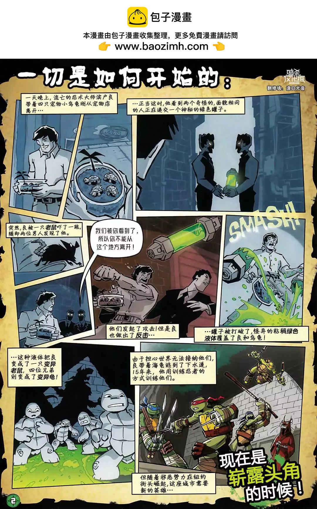忍者神龟2012：UK杂志配套漫画 - 第27卷 - 2