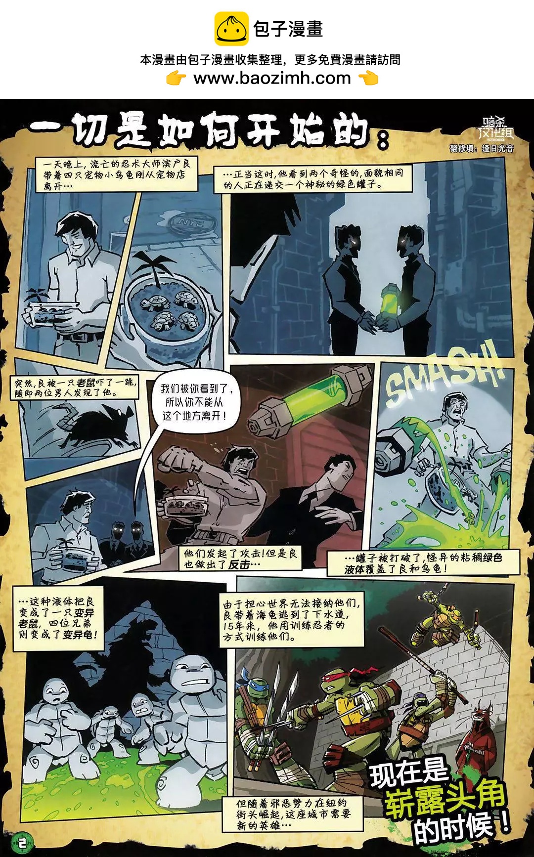 忍者神龟2012：UK杂志配套漫画 - 第31卷 - 2