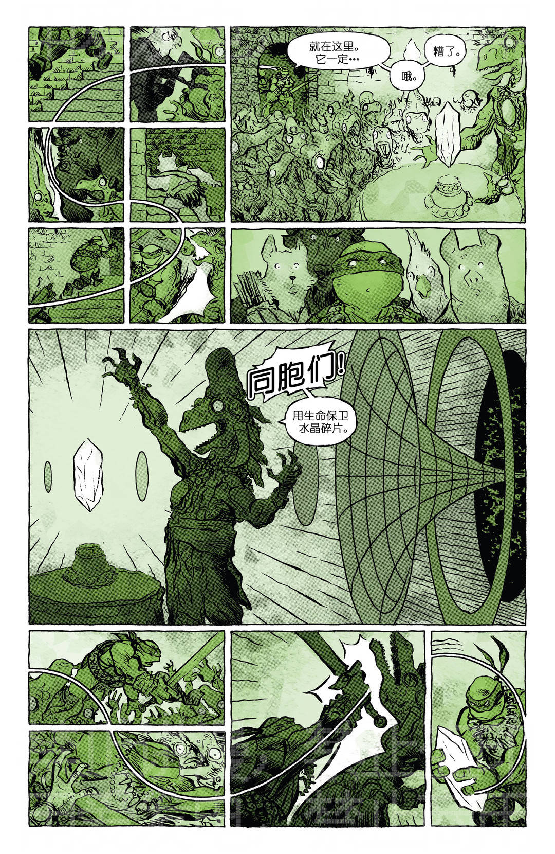 忍者神龟：墨黑、皓白和苍绿 - 第01卷 - 2