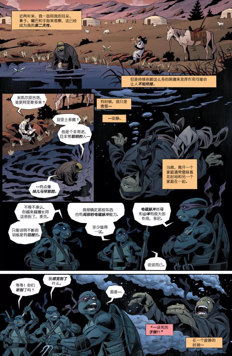 忍者神龜：最後的浪人·失落歲月 - 第03卷 - 5