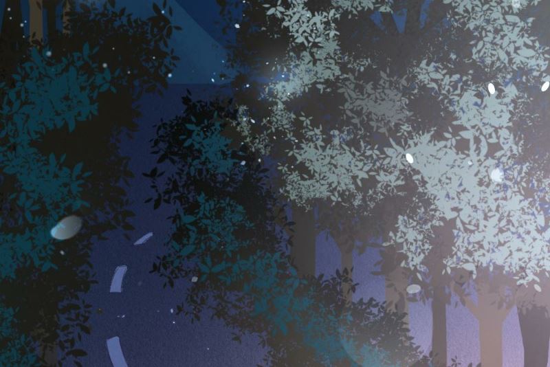 第107话(1/2)-第107话