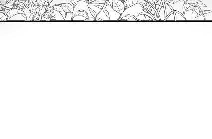 小剧场及停更公告-第63话