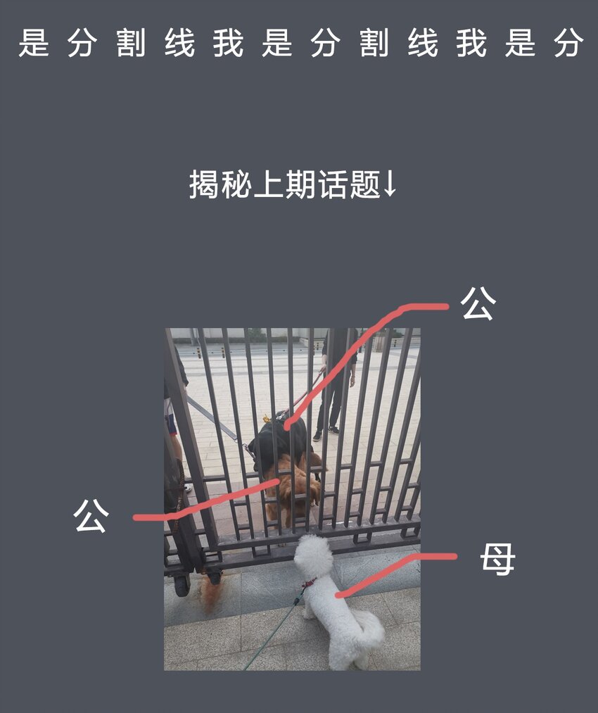 32 欢迎来到颂尚门-第33话