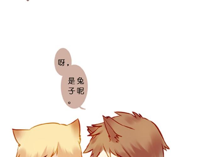 不吃兔子的狼-第17话