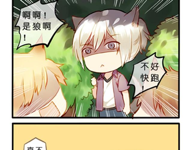 不吃兔子的狼-第17话