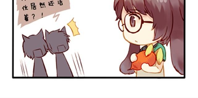 不吃兔子的狼-第17话