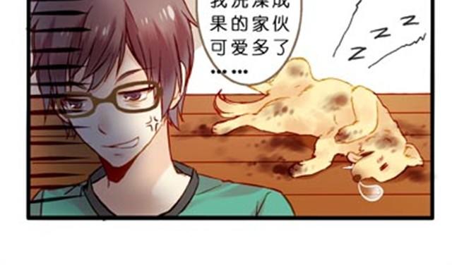 不吃兔子的狼-第17话