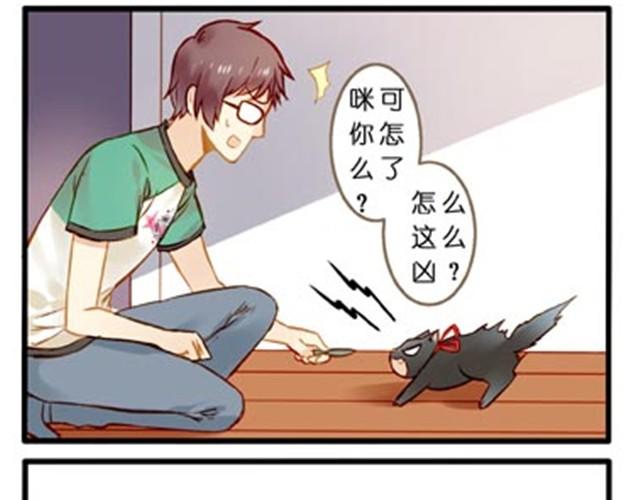 不吃兔子的狼-第17话