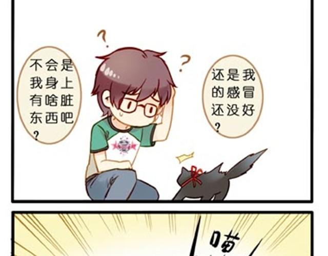 不吃兔子的狼-第17话