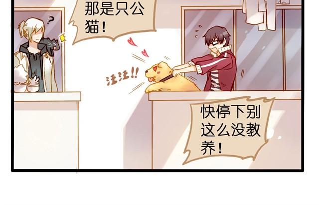 隔壁搬来了新邻居-第3话