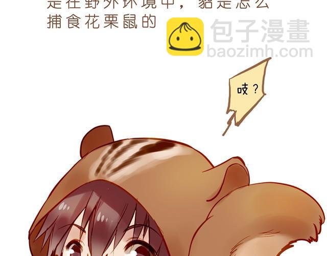 亲爱的城市我们回来了！-第31话