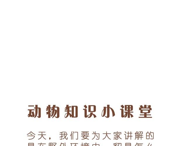 亲爱的城市我们回来了！-第31话