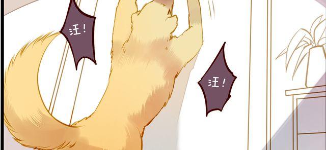 病情恶化？(1/2)-第65话