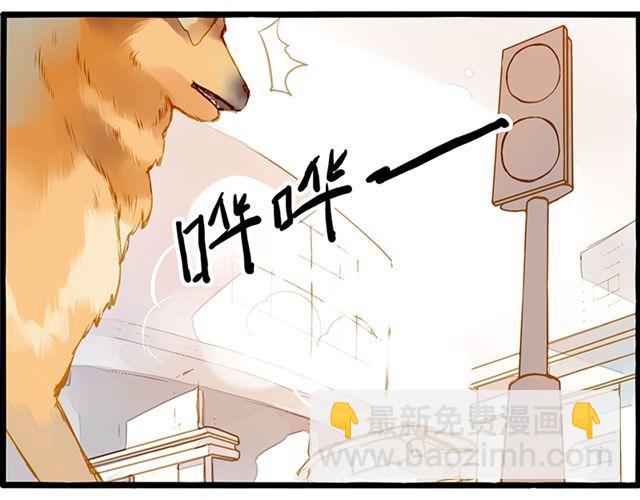 你不是我幻想出来的-第67话