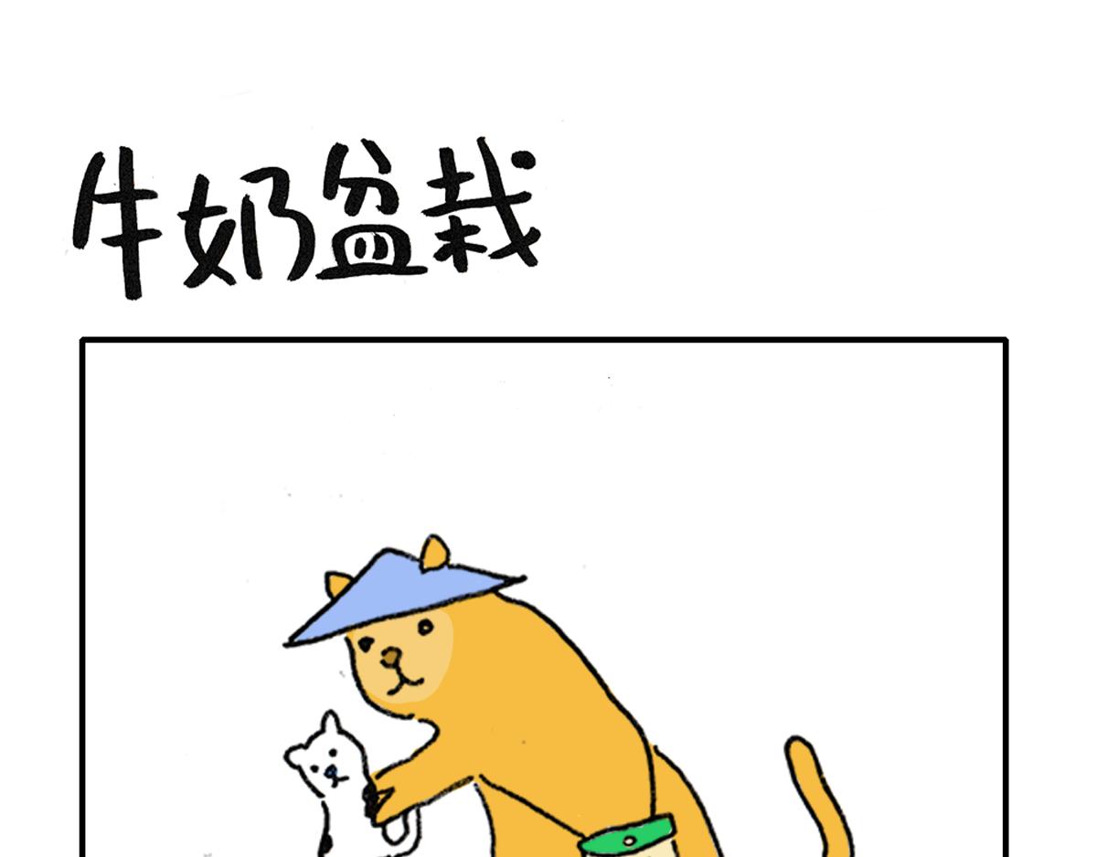 猫是液体！（续）10