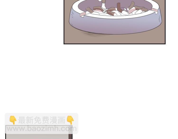 第41话 真相(1/2)-第41话