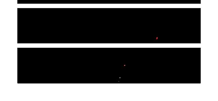 第15话(1/2)-第15话