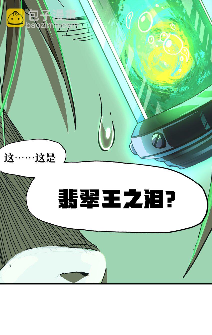 031 翡翠王之泪(1/2)-第33话