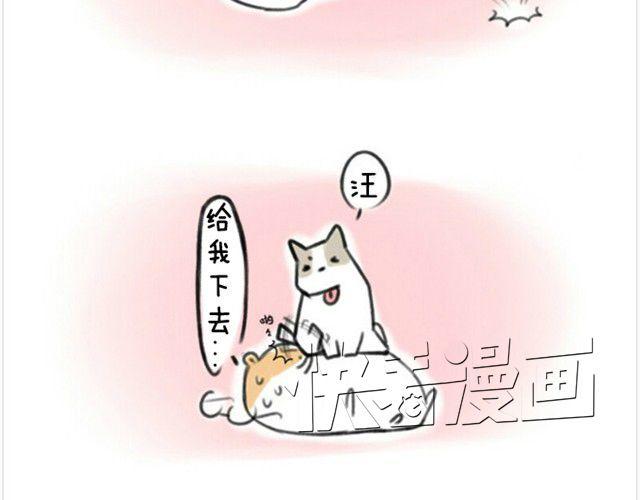 第1话 我吃东西的时候离我远点-第1话