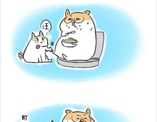 第1话 我吃东西的时候离我远点-第1话