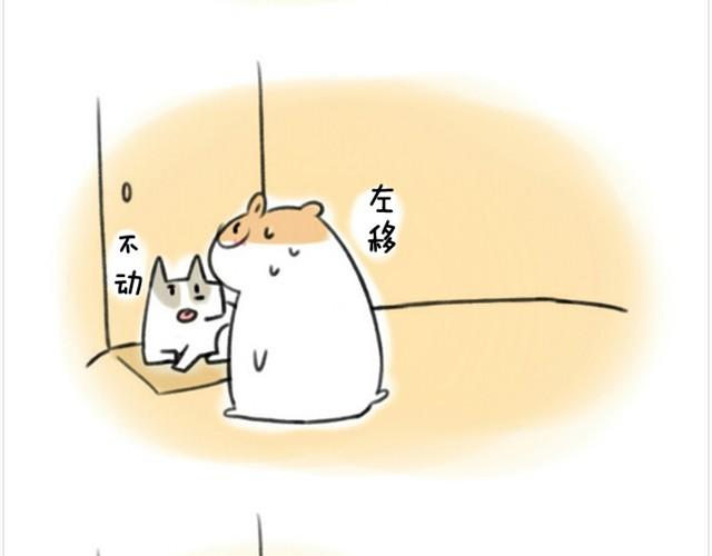 第1话 我吃东西的时候离我远点-第1话