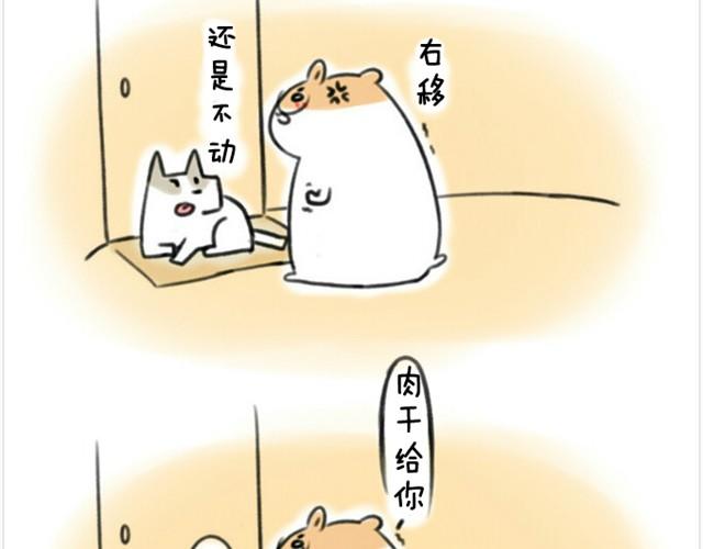 第1话 我吃东西的时候离我远点-第1话