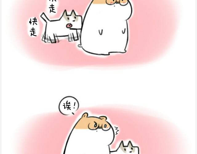 第1话 我吃东西的时候离我远点-第1话