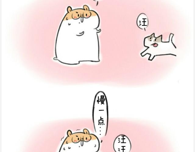 第1话 我吃东西的时候离我远点-第1话