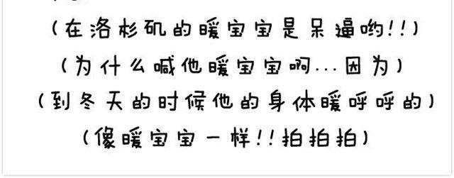 第10话 一百块都不给我-第11话