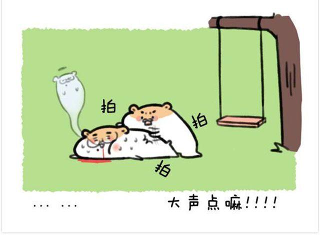 第14话 荡秋千引发的血案-第15话