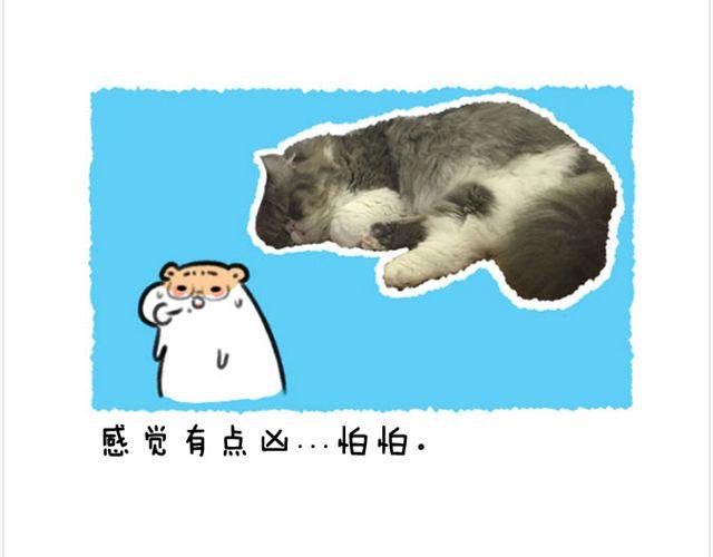 第20话 呆逼与猫-第21话