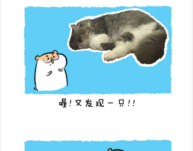 第20话 呆逼与猫-第21话