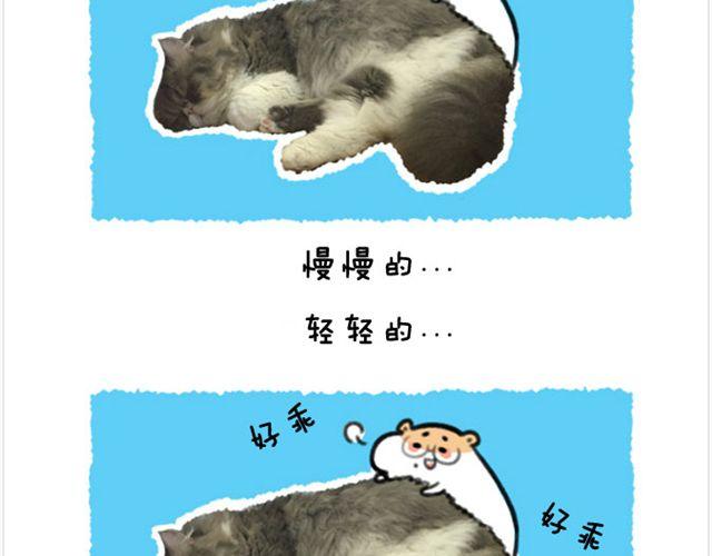 第20话 呆逼与猫-第21话