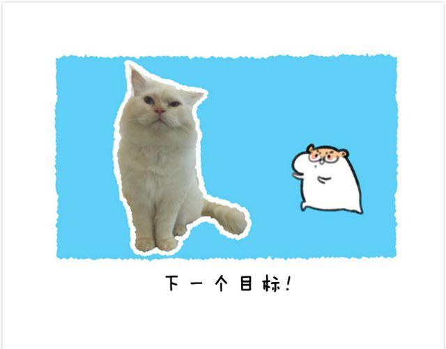 第20话 呆逼与猫-第21话