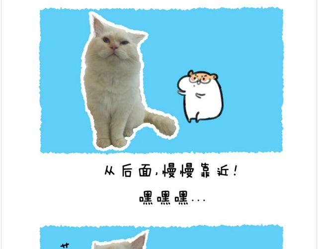 第20话 呆逼与猫-第21话