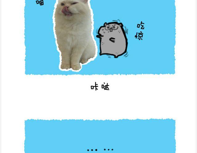 第20话 呆逼与猫-第21话