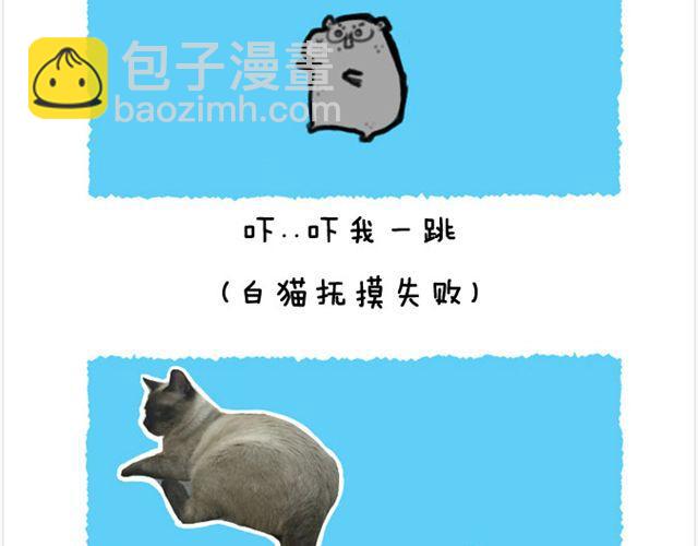 第20话 呆逼与猫-第21话