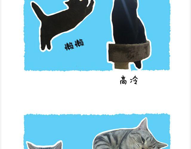 第20话 呆逼与猫-第21话