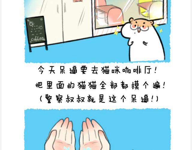 第20话 呆逼与猫-第21话