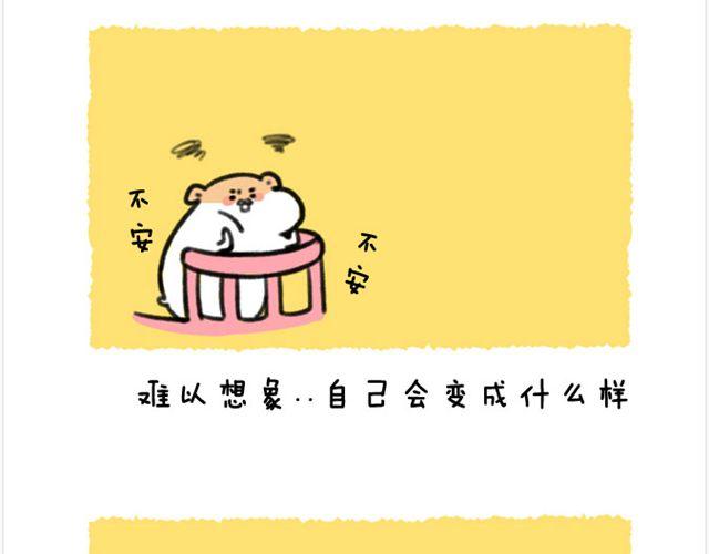 第22话 胡子的未来-第23话