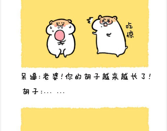 第22话 胡子的未来-第23话