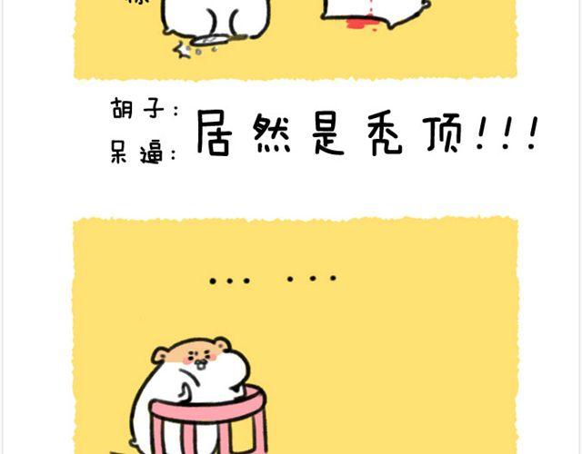 第22话 胡子的未来-第23话