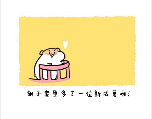 第22话 胡子的未来-第23话